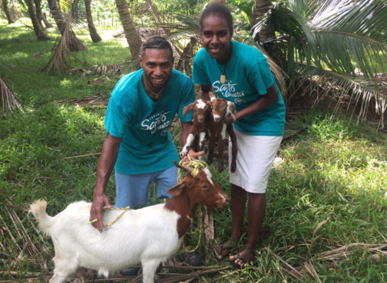 Goats