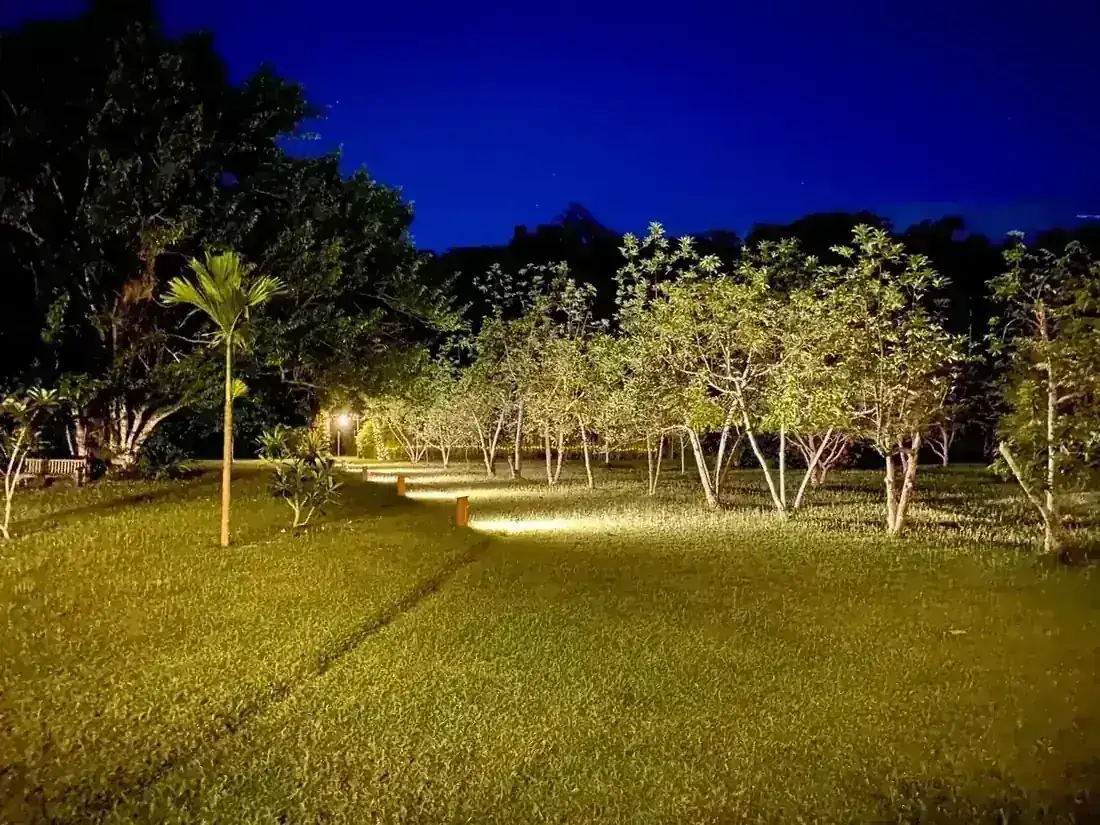 Illuminated plantation gardens at night