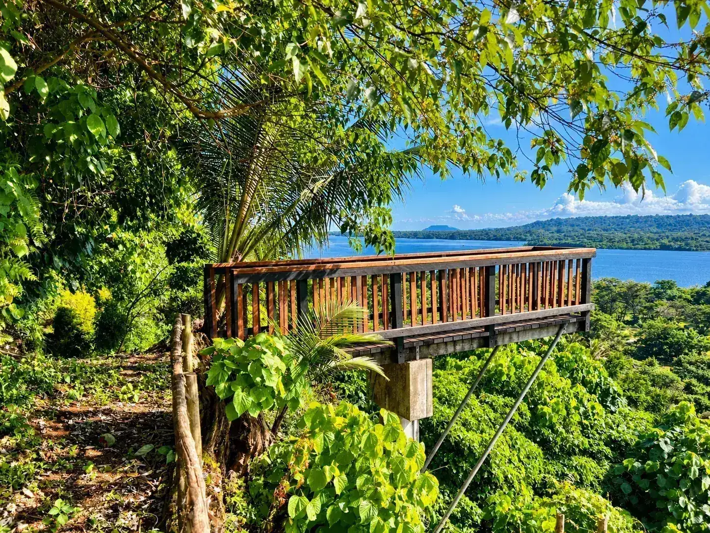 Tropical canopy lookout overlooking the Segond Channel