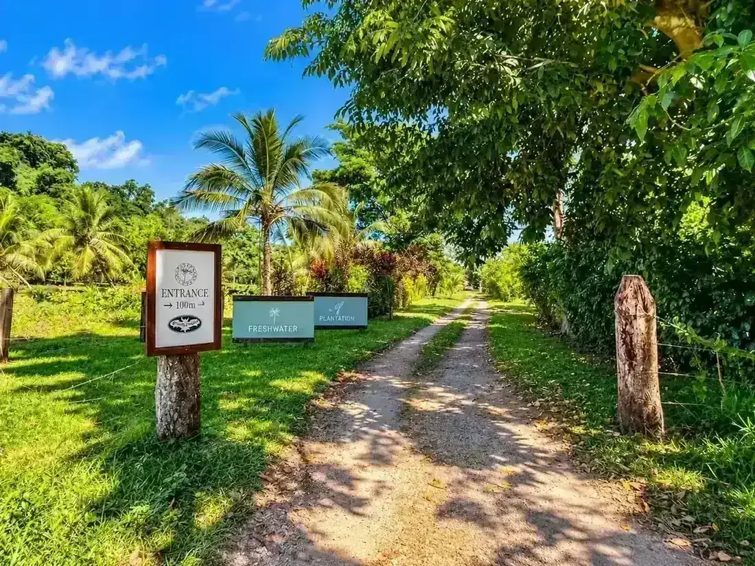 Tropical bat cave entrance