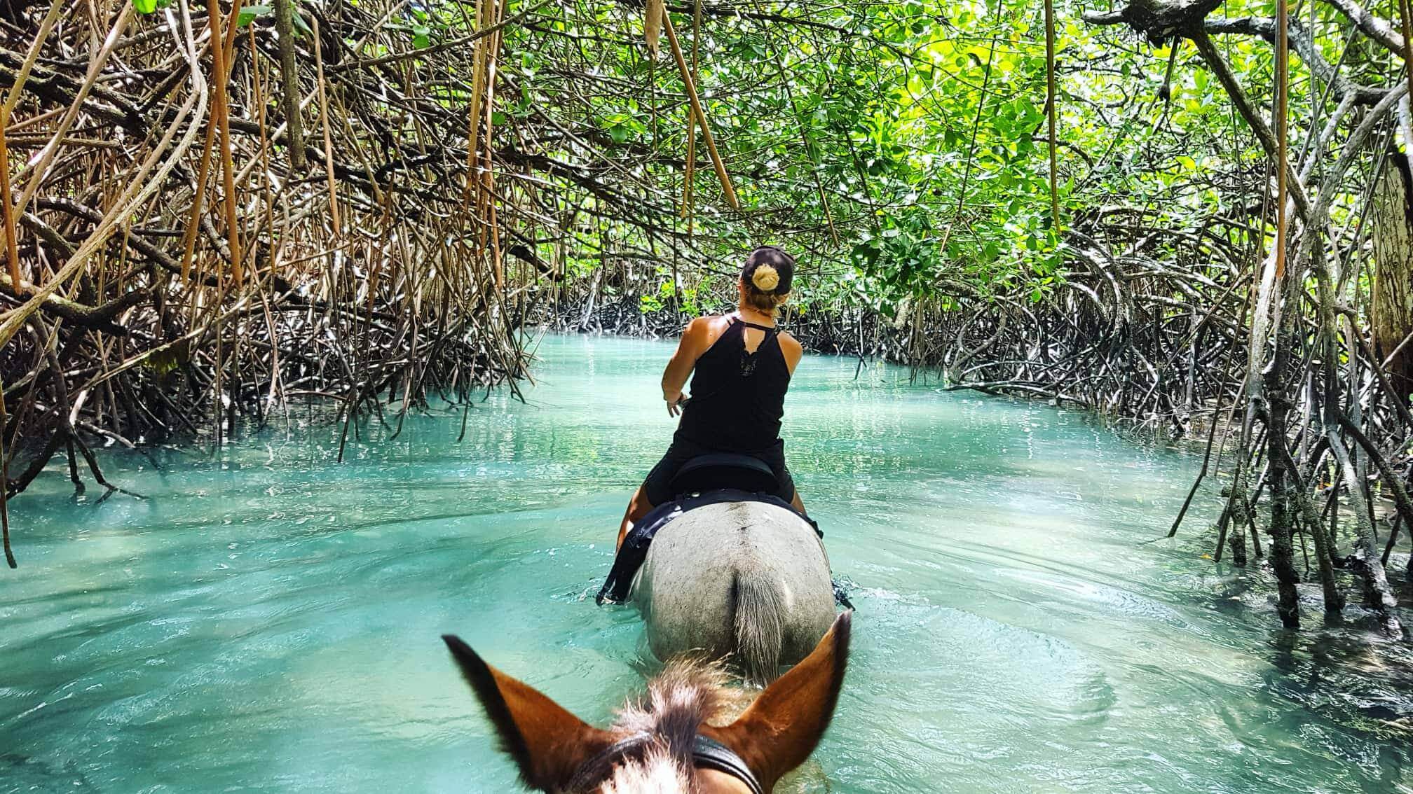 Santo Horseback Adventures